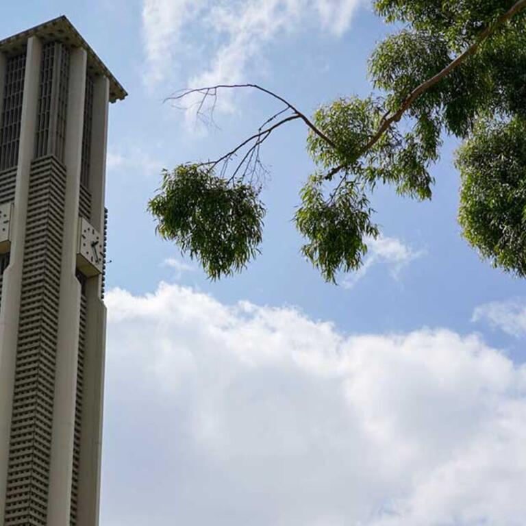 UCR Bell Tower